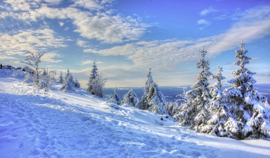 Ferienwohnung Leonie und Ferienwohnung Maja. Ihre Ferienwohnungen / Unterkünfte in Braunlage im Harz.